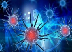 160129656922062020-coronavirus204219231213765.jpg