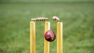 1626860487cricket.jpg