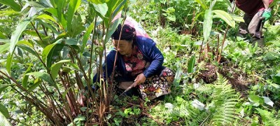 1737350680alaichi-lamjung.jpg
