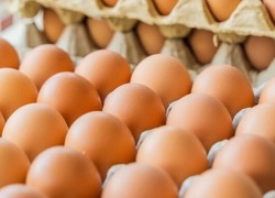 1738655994egg-1735557641.jpg
