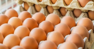 1738655994egg-1735557641.jpg