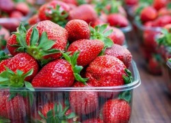 1740130008strawberry.jpg