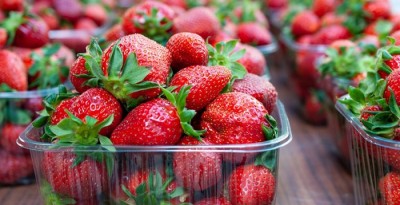 1740130008strawberry.jpg