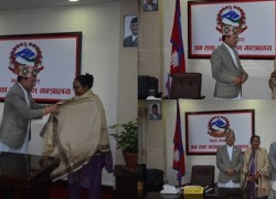 17457433901745741121Nanda-1200x560.jpg