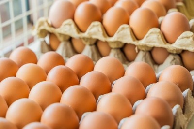1745741619egg-1735552102.jpg