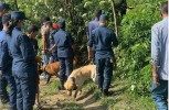 1747301575Nepal-Police-Dog-1024x732.jpg