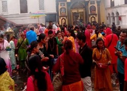 1785127406PASHUPATI-11.jpg